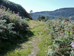 
Original Llancaiach branch trackbed looking South, Abercynon, September 2012